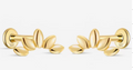 Curve Studs